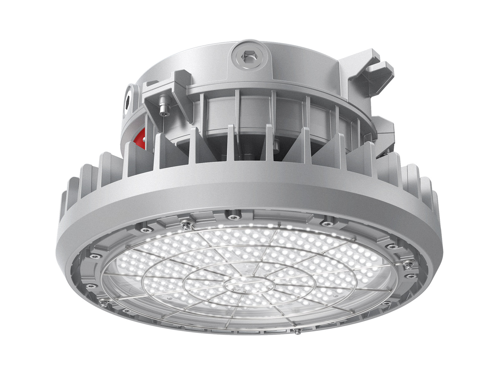 Explosion Proof Light